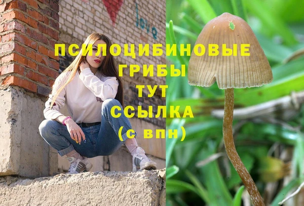 дистиллят марихуана Горняк