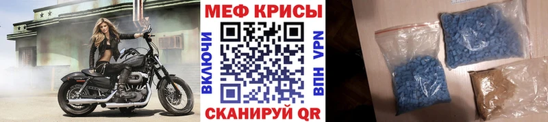 МЯУ-МЯУ мяу мяу  Ефремов 