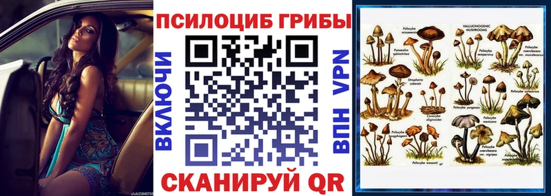блэк спрут как зайти  закладки  Ефремов  Галлюциногенные грибы мухоморы 